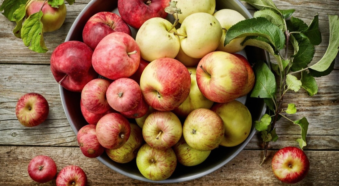 Traditionelle Apfelsorten: Vorzüge und Arten | Bringmeister