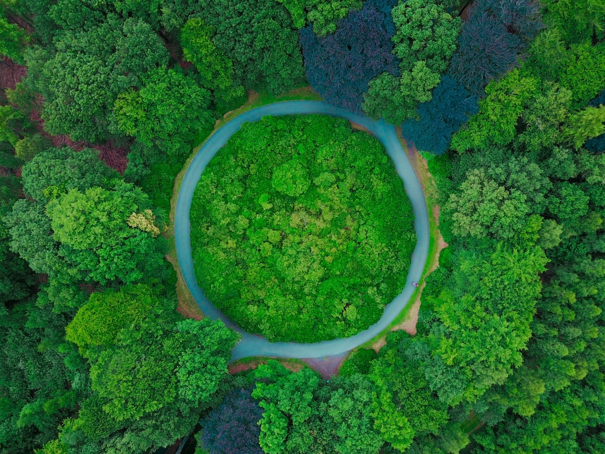Déclic Écologique parle du Numérique Responsable et de NovaGaïa