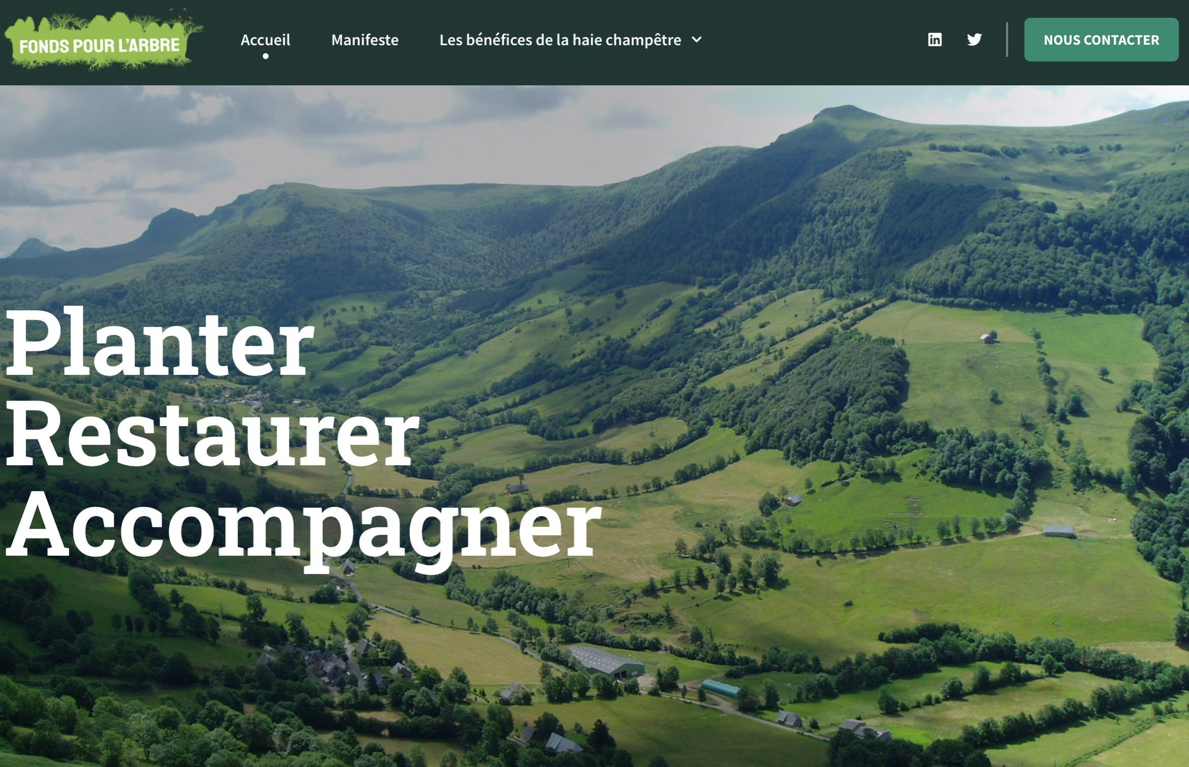 Création du site le Fonds pour l'Arbre pour l'AFAC