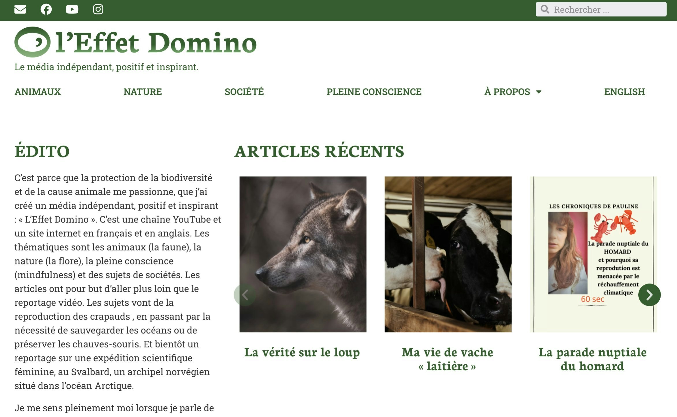 Refonte du site d'une YouTubeuse engagée dans la protection animale