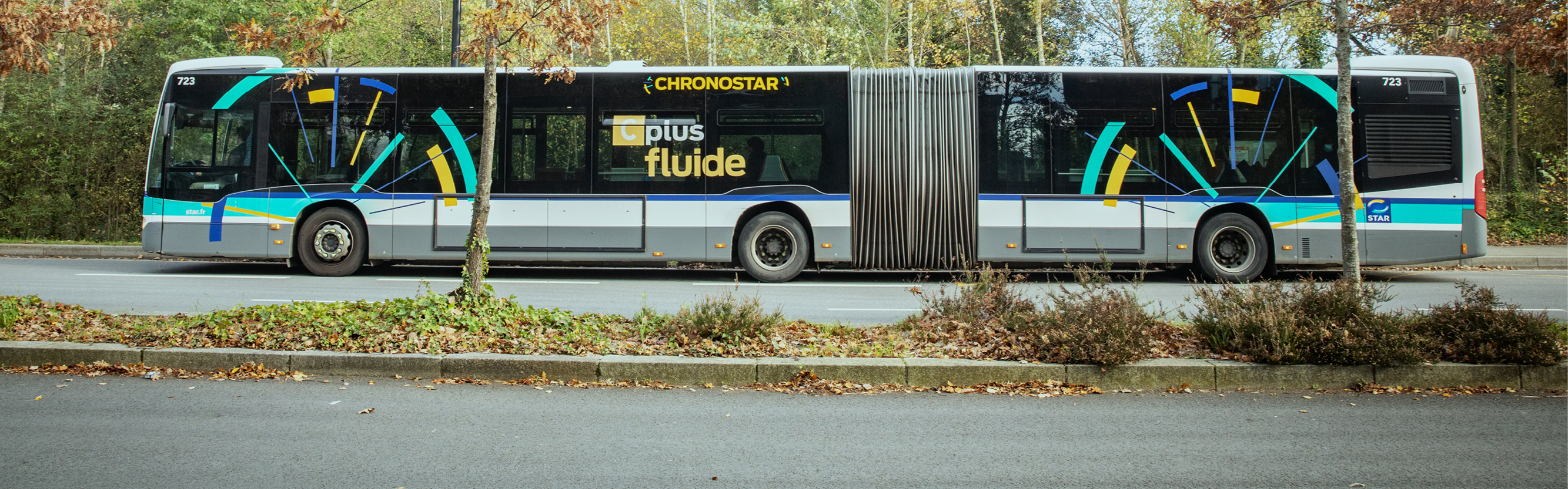 Ligne de bus Chronostar