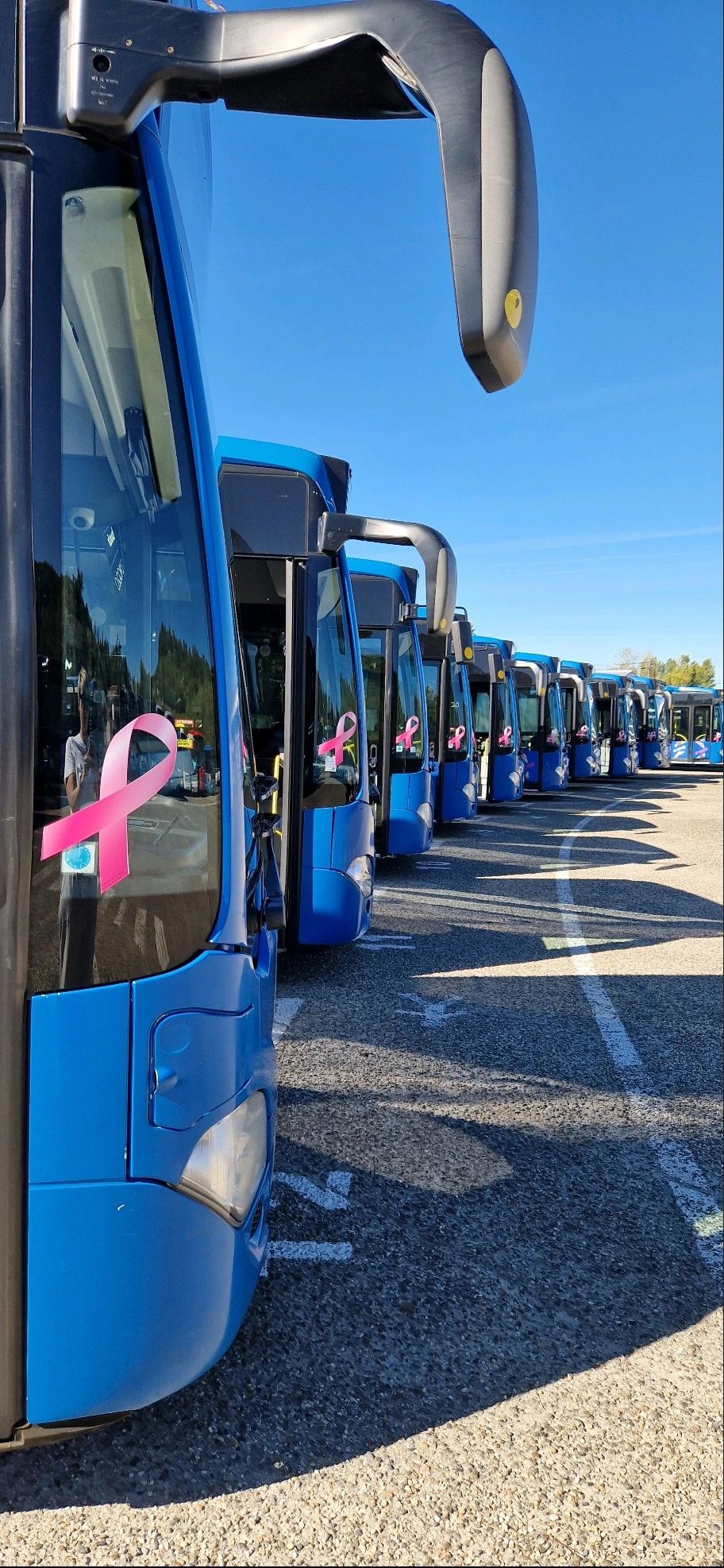 Photographie de bus avec un ruban rose