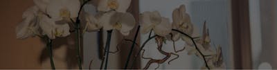 Schedule a consultation | Samadian Cosmetic & Advanced Dentistry