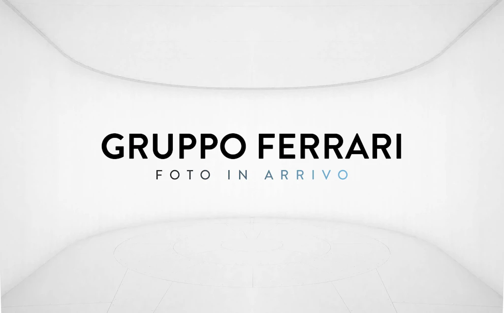 Renault Master Usato 2019 Master Porto Mantovano