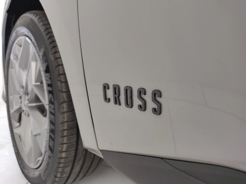 Ds DS4