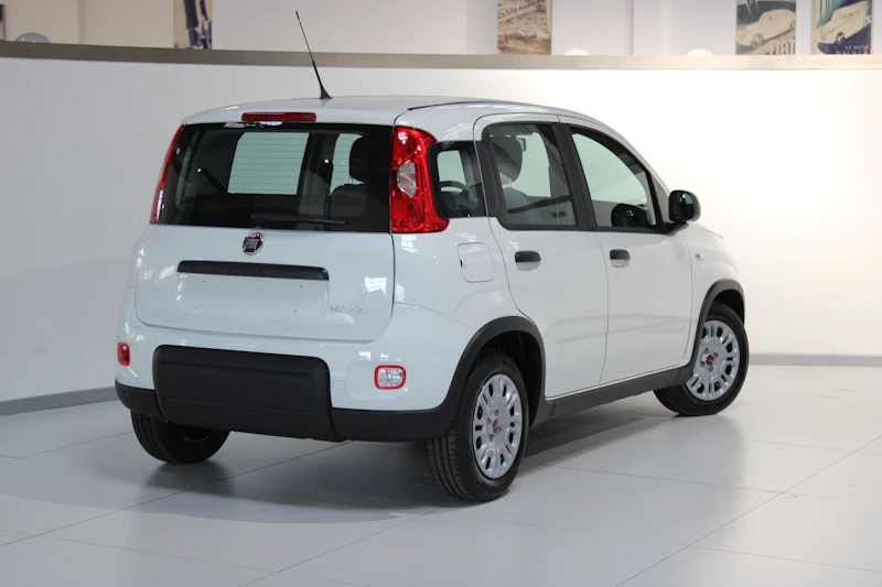 Fiat Panda KM0 2024 Panda Rovigo