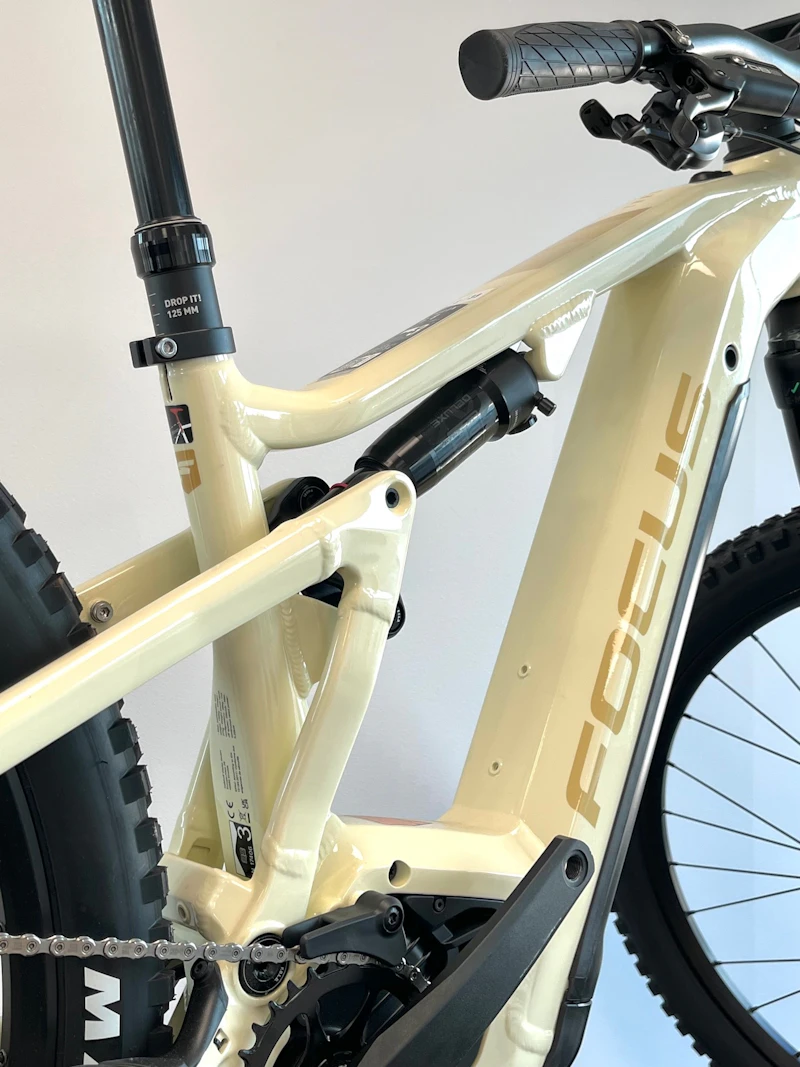 FOCUS THRON²  MTB