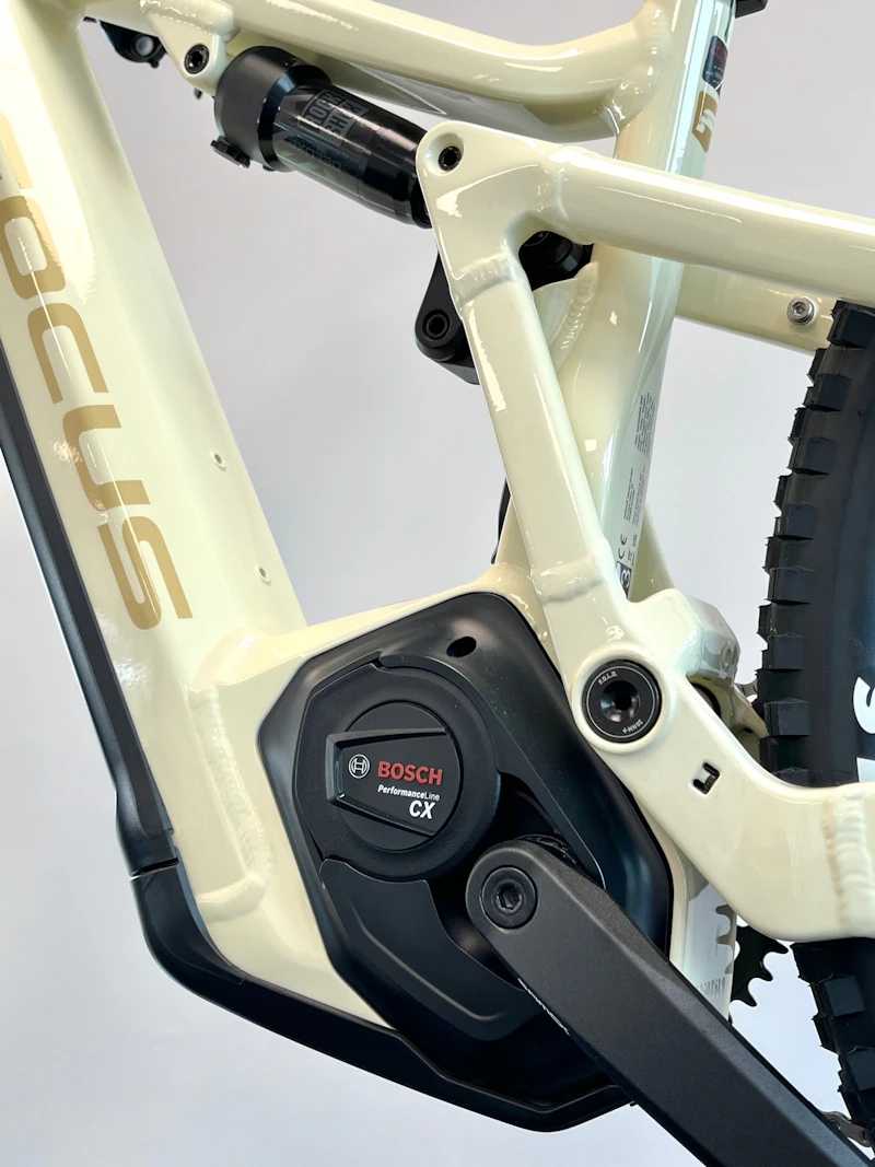 FOCUS THRON²  MTB