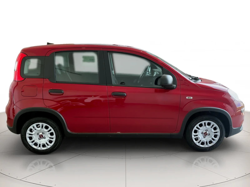 Fiat Panda KM0 2024 Panda Rovigo