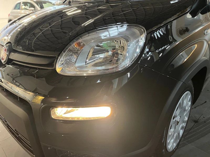 Fiat Panda Nuovo Ibrido benzina Panda Cerea