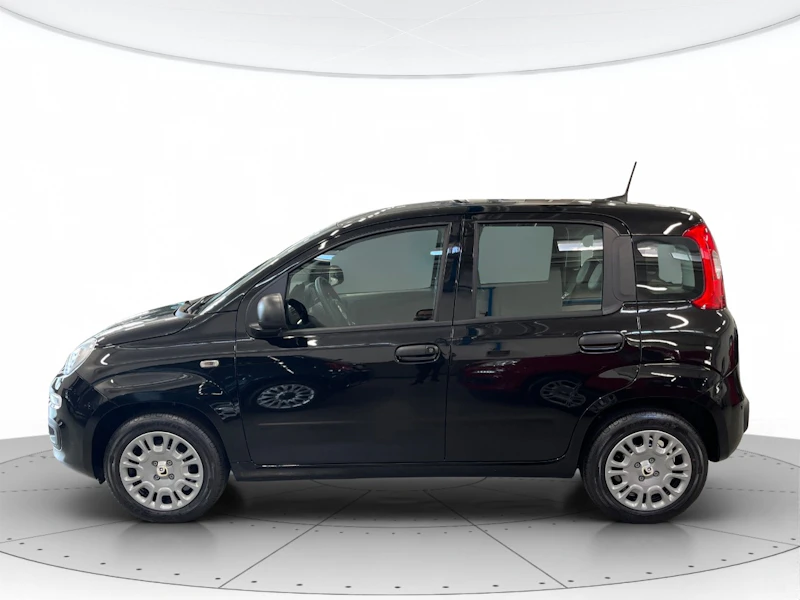 Fiat Panda KM0 2025 Panda Rovigo