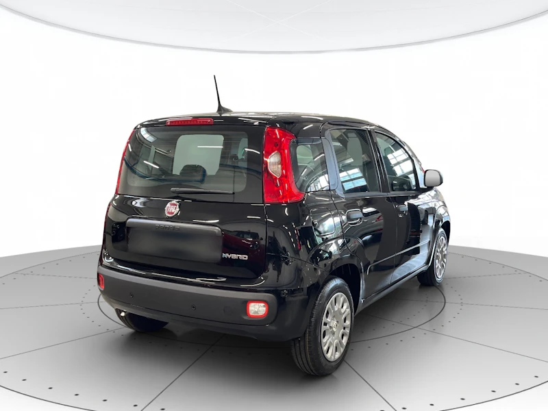 Fiat Panda KM0 2025 Panda Rovigo