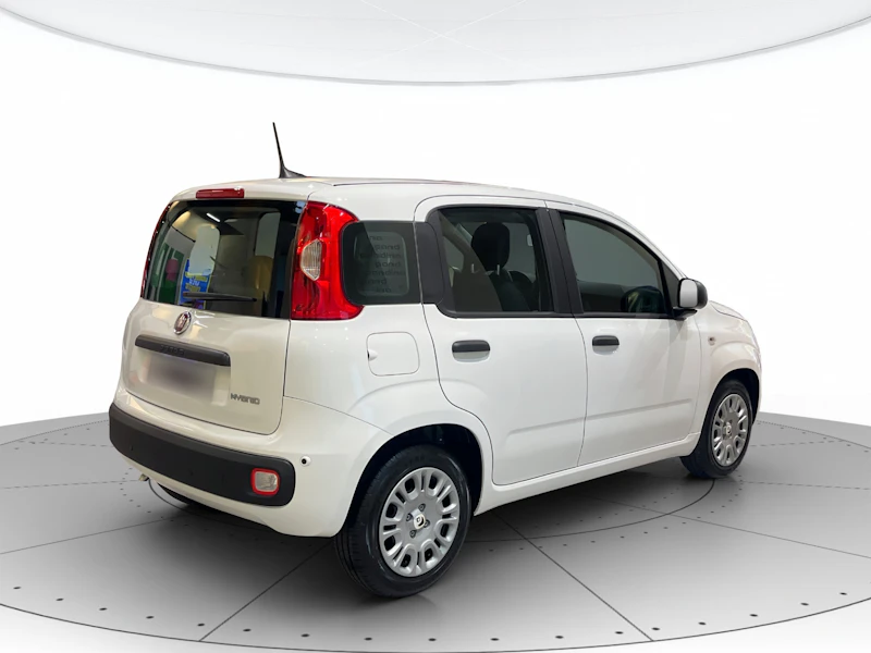 Fiat Panda Nuovo Ibrido benzina Panda Verona