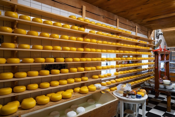 whole-cheese-on-shelves