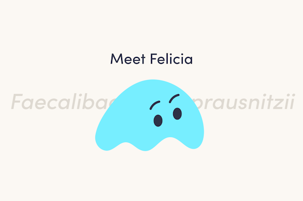 image-of-felicia