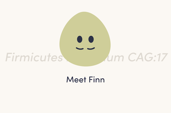 finn-good-bug-graphic