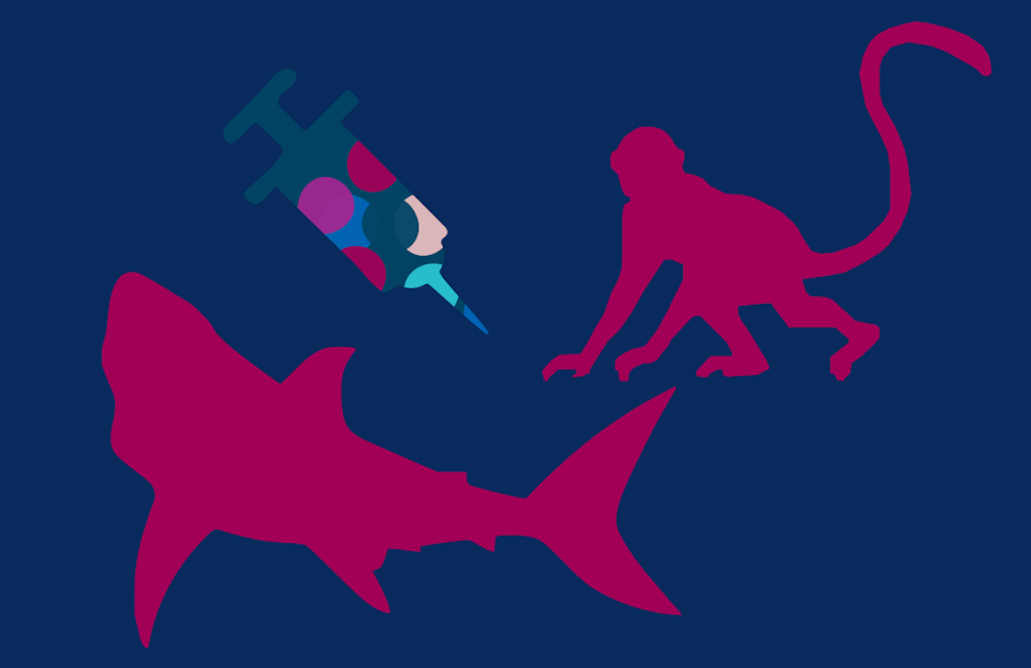Are sharks being killed for COVID vaccines? Does the vaccine contain monkey cells? And will it alter your genes? We tackle the most common COVID-19 vaccine myths