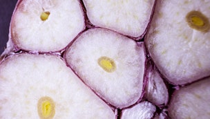 close-up-of-garlic
