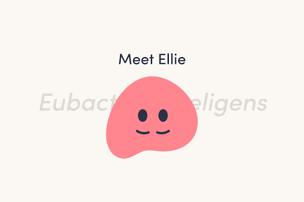 image-of-eubacterium-eligens