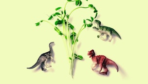 toy-dinosaurs-with-sprouts