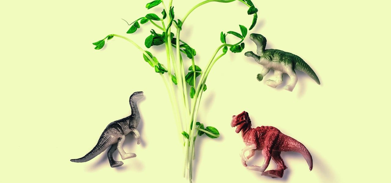 toy-dinosaurs-with-sprouts