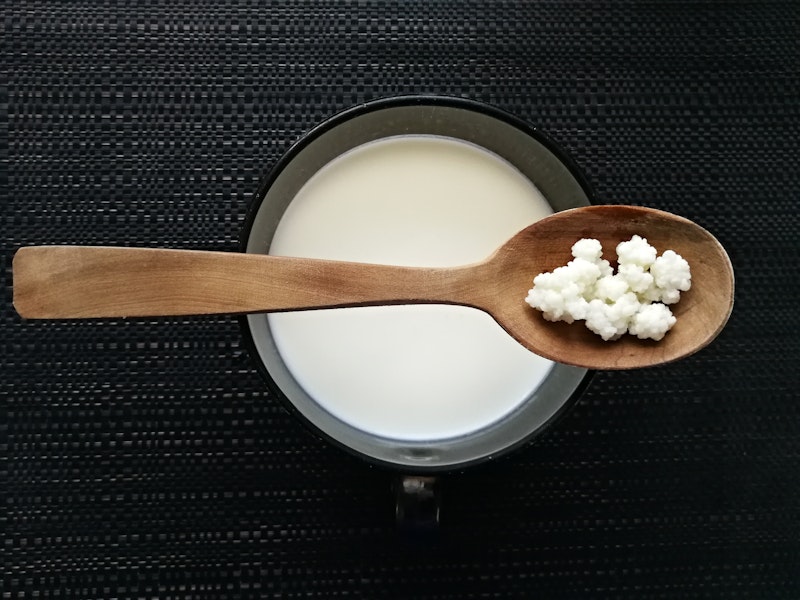 milk-kefir-and-grains