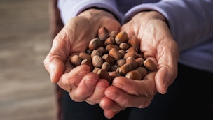 older-adult-holding-nuts