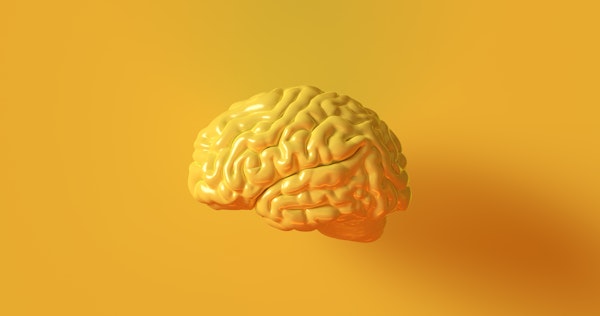 yellow-brain-on-yellow-background