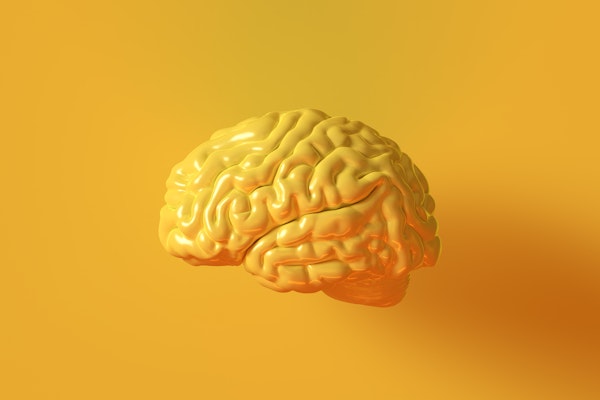 yellow-brain-on-yellow-background