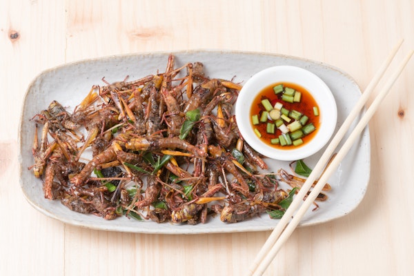 fried-grasshoppers-soy-sauce