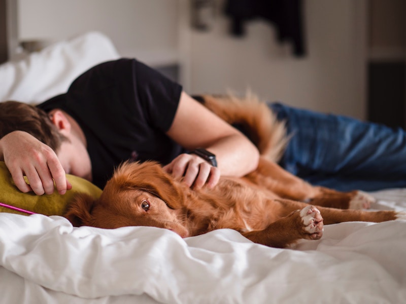 man-lying-in-bed-with-dog