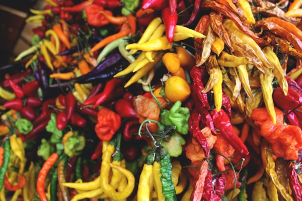 selection-of-multicolored-dried-chilies