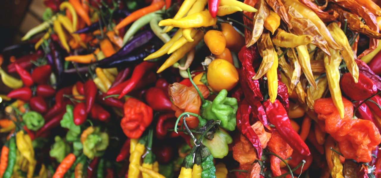 selection-of-multicolored-dried-chilies