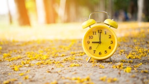 yellow-clock-on-leaves