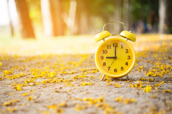 yellow-clock-on-leaves