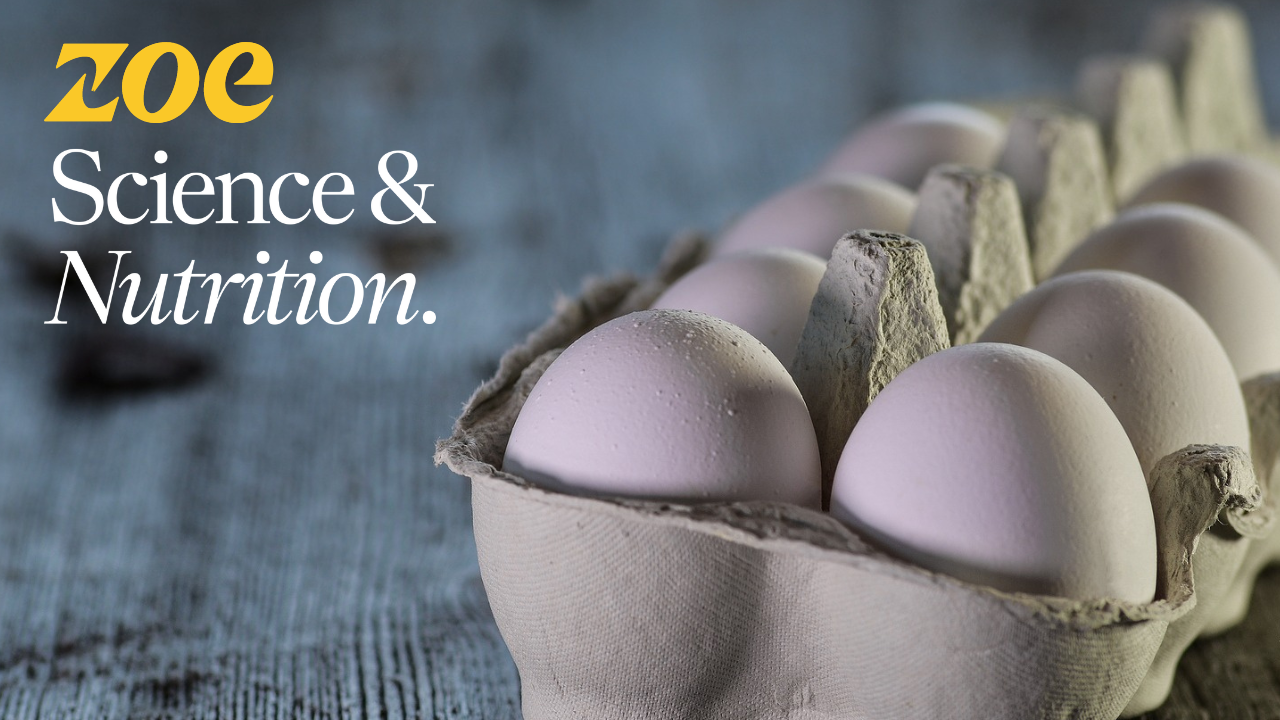 ZOE Podcast What Really Happens When You Eat High Cholesterol Foods?