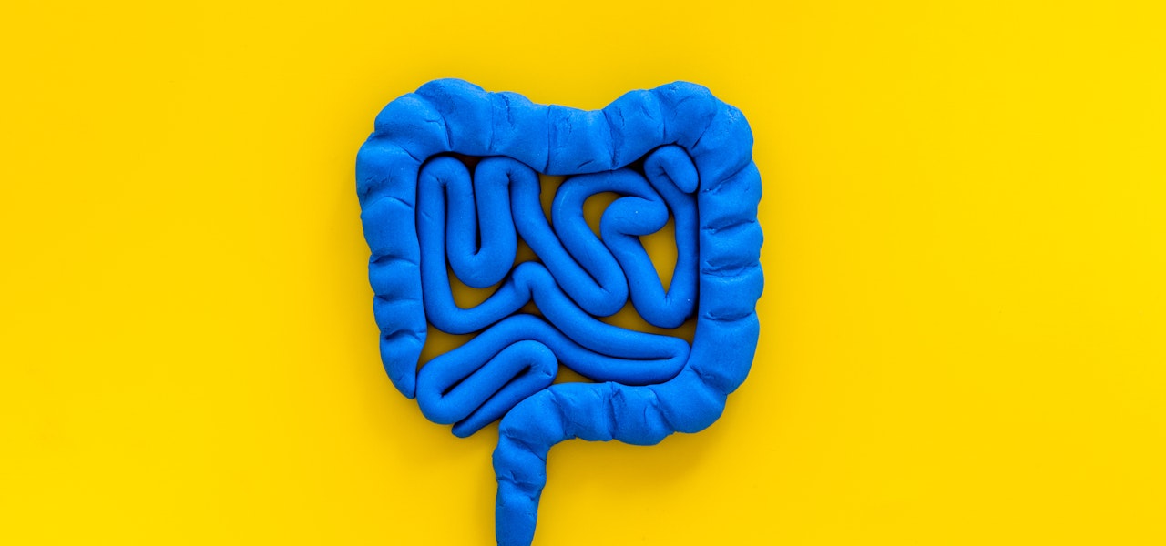 blue-gut-yellow-background