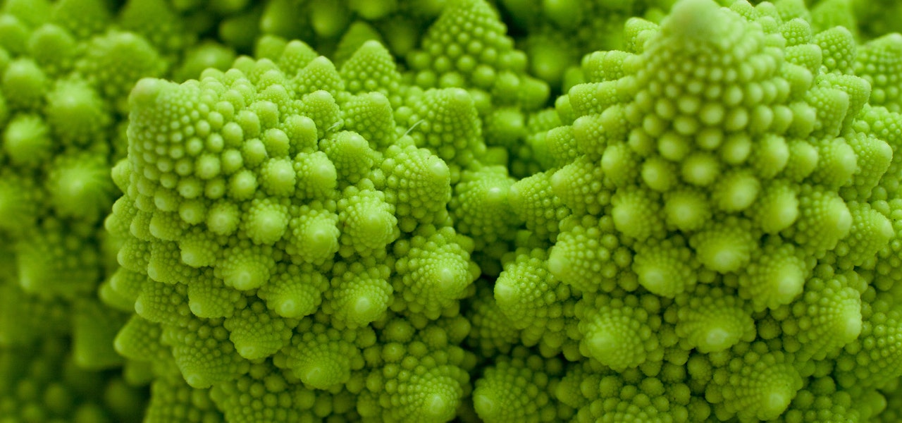 romanesco-broccoli-closeup