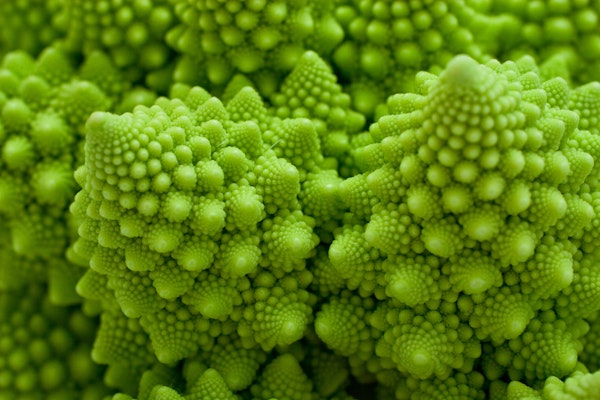 romanesco-broccoli-closeup