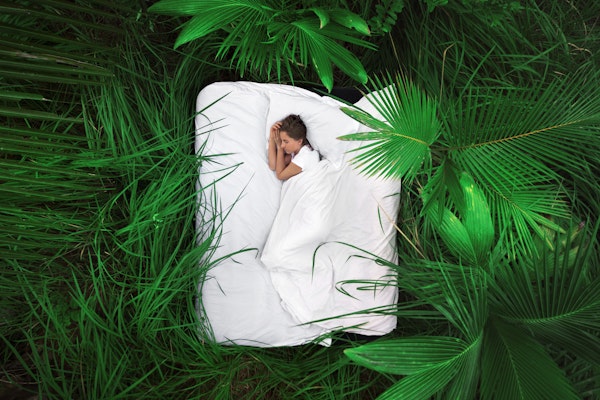 sleeping-in-jungle