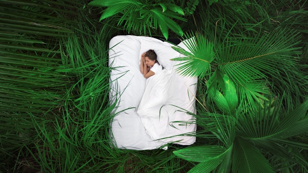 sleeping-in-jungle