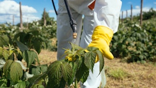 person-spraying-pesticides