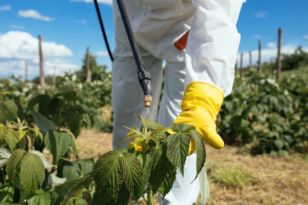 person-spraying-pesticides