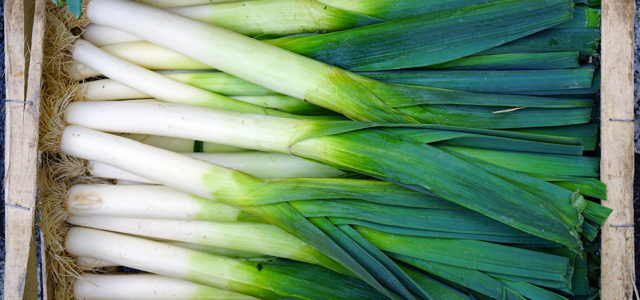 freshly-harvested-leeks-in-a-crate