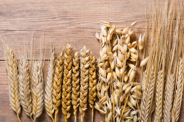 wheat-rye-barley-oats