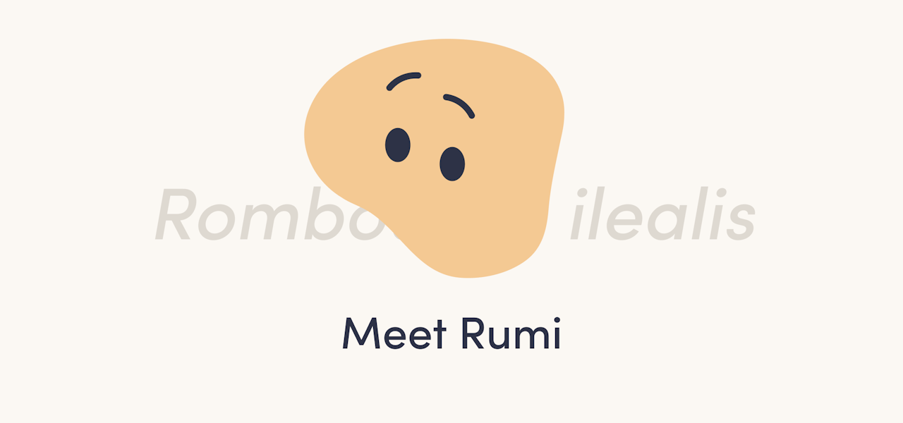 rumi-hero-image