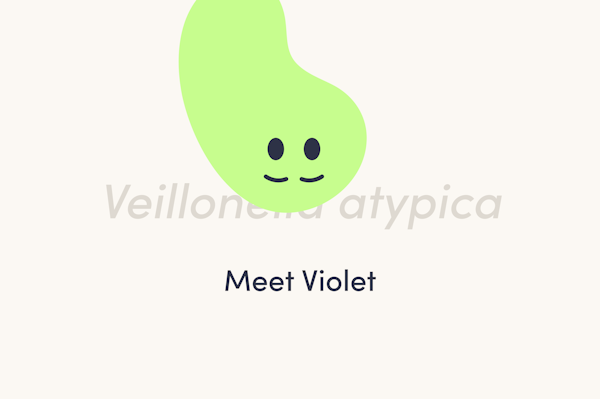 violet-hero-image