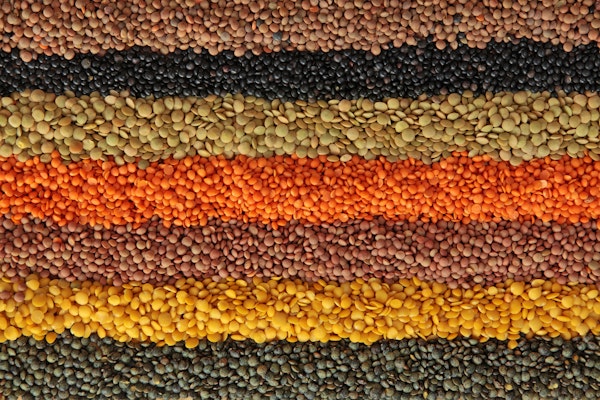 lines-of-lentils