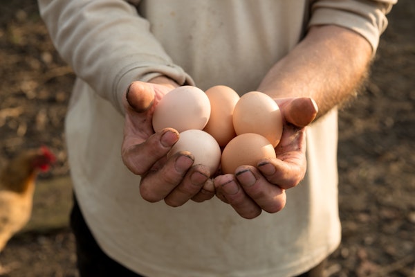 farmer-holding-eggs