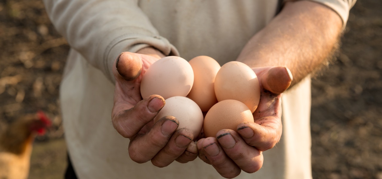 farmer-holding-eggs